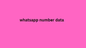 whatsapp number data