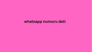 whatsapp numuru dati